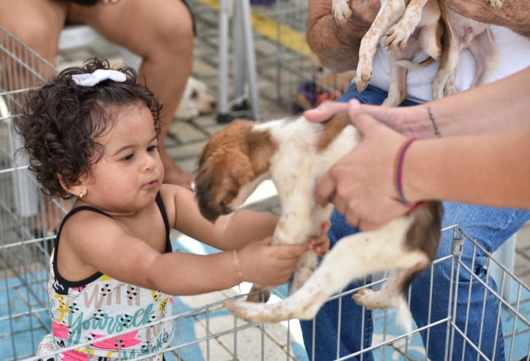 Feira de adoção de animais acontece neste sábado na Praça do Barroco