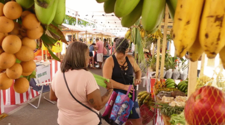 Itaipuaçu recebe feira agroecológica neste sábado (26)